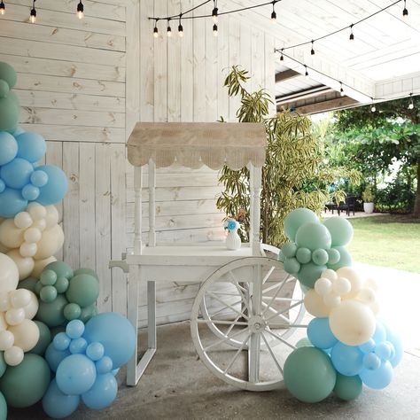 🍯💙 a little honey is on the way . . . . #babyshower #winniethepooh #miamibabyshower #browardballoons #miamiballoons #babyshowertheme #classicpooh #itsaboy #miamidecor #partydecor Miami Decor, Baby Shower Themes, Winnie The Pooh, The Way, Party Decorations, Balloons, Honey, Baby Shower, Shower