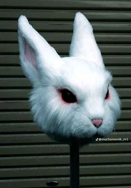 Rabbit Mask, Creepy Masks, Bunny Mask, Karakter Disney, Cool Masks, Cosplay Diy, Animal Masks, Masks Art, Cool Halloween Costumes