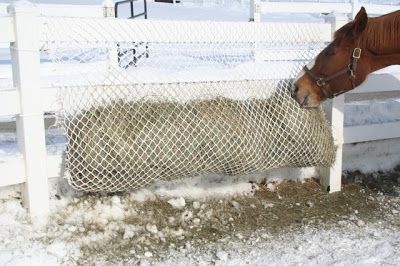 Hay Net Helpers Slow Horse Feeders Hay, Horse Shelters, Hay Feeder For Horses, Horse Feeder, Horse Nutrition, Horse Hay, Barn Hacks, Stable Ideas, Paddock Paradise