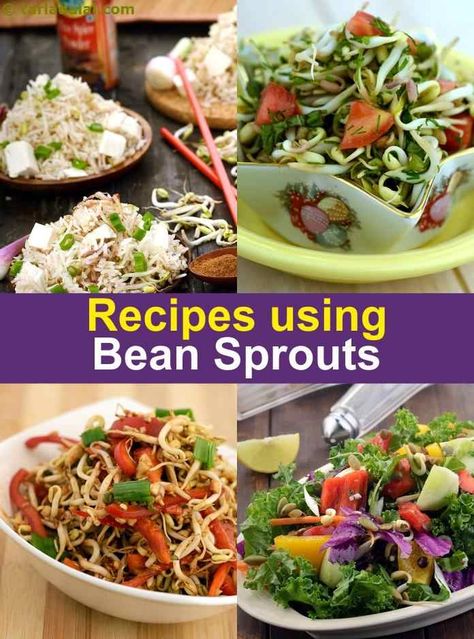 Using Sprouts, Recipes Using Bean Sprouts, Bean Sprouts Recipes, Bean Sprouts Recipe, Recipes Using Beans, Bean Sprout Recipes, Bean Sprout Salad, Sprouts Recipes, Simple Eating