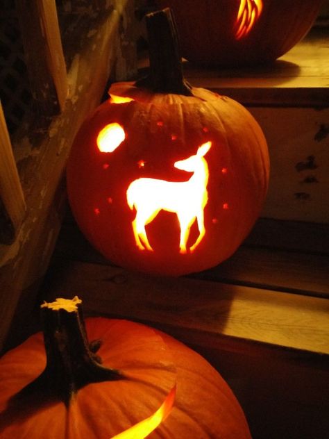 Pumpkin Carving Ideas Deer, Deer Pumpkin Carving, Deer Pumpkin, Pumpkin Etching, Deer Carving, Pumpkin Carving Halloween, Pumpkin Carve, Fall Harvest Party, 90s Fashion Outfits Hip Hop Party