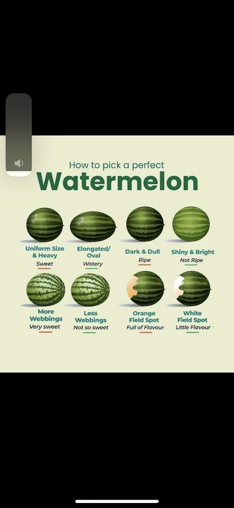 How To Tell If A Watermelon Is Good, Types Of Watermelon, Wave Petunias, Cooking Tricks, Bored Jar, Survival Skills Life Hacks, What To Do When Bored, Smart Things, Food Facts