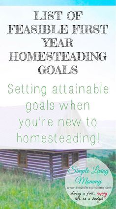 If you're interested in homesteading, you probably have big dreams, but don't know where to start. This family lays out goals you can reach in your first year of homesteading that will motivate you to make the most of your new lifestyle! Homesteading Goals, Goals List, Homesteading Diy, Homestead Life, Homestead Gardens, Homestead Farm, Homesteading Ideas, Homestead Ideas, Homesteading Skills