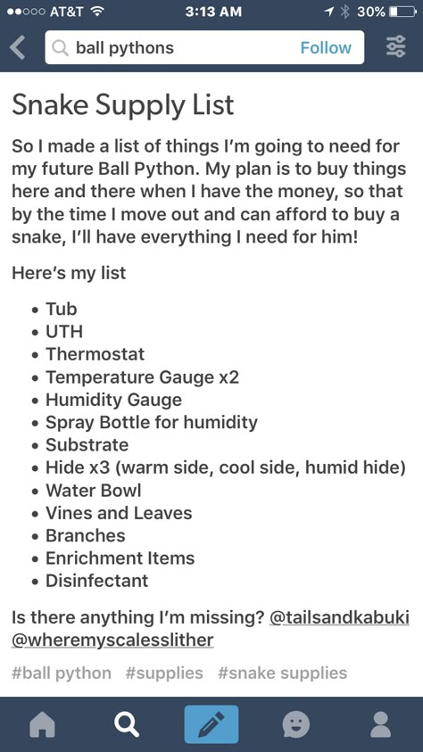 Snake Care Ball Python, Snake Care For Beginners, Ball Python Enclosure Ideas Cute, Corn Snake Enclosure Ideas Diy, Hog Nose Snake Enclosure, Snake Habitat Ideas Ball Python, Ball Python Setup, Snake Cage Ideas Ball Python, Bioactive Snake Enclosure