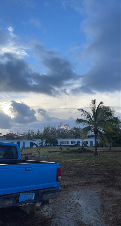 Sunset with a blue pick up truck and palm trees in the foreground. Environmental Science Aesthetic, Environmental Photography, Future Motivation, Thea Stilton, Field Research, Job Motivation, Wildlife Biologist, Save The Earth, Research Center