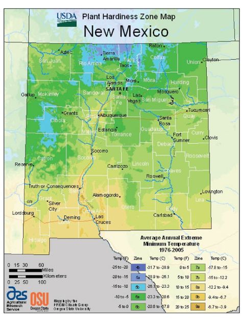 New Mexico Zone Hardiness Map Planting Zones Map, Vegetable Planting Calendar, Best Grass Seed, High Desert Landscaping, New Mexico Map, Plant Hardiness Zone Map, Planting Calendar, Climate Zones, Plant Zones