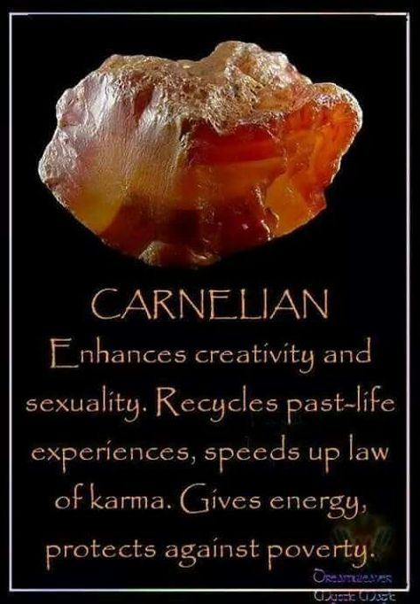 Carnillean Crystal, Swadhisthana Chakra, Agate Crystal Meaning, Law Of Karma, Healing Spells, Carnelian Agate, Crystal Aesthetic, Carnelian Crystal, Crystals Healing Properties