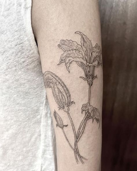 Karen Klink on Instagram: "Zucchini Flowers 🌝🔥🍃 For Raya 🧡" Zucchini Flower Drawing, Zucchini Flower Tattoo, Pumpkin Plant Tattoo, Pumpkin Flower Tattoo, Squash Blossom Tattoo, Zucchini Tattoo, Squash Tattoo, Zucchini Flowers, Pumpkin Vine