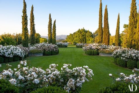 Paolo Pejrone's Many Gardens Photos | Architectural Digest Paolo Pejrone, Italian Landscaping, Indoor Garden Decor, Boxwood Hedges, Italian Gardens, Landscaping Around House, Tuscan Garden, Italian Landscape, Landscape Designer