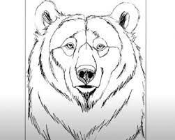 How To Draw A Bear Face, Bear Eyes Drawing, Easy Animals To Draw, Bear Face Drawing, Drawing Library, Draw A Bear, Bear Park, Draw Cartoon Characters, Animals To Draw