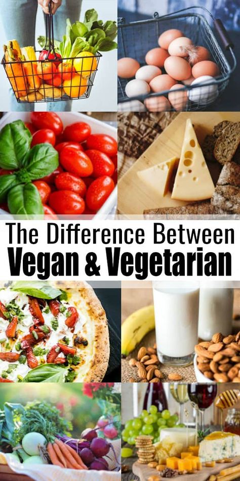 Vegetarian Vs Vegan Facts, Difference Between Vegan And Vegetarian, Vegan Vs Vegetarian, Vegetarian Facts, Plant Diet, Vegetarian Diets, Vegetarian Day, Vegan Facts, Vegan Recipes Plant Based