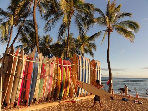 Tropical Surf Beach Wallpaper. Best Surfboards, Hawaii Magazine, Surf Competition, Visit Hawaii, Surfboard Design, Hawaii Surf, Surf Lifestyle, Surfing Photography, Hawaiian Beaches