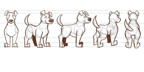 Dog Model Sheet, Animation Lessons, Character Turnarounds, Character Turnaround, Cartoon Body, Dog Animation, Dog Model, Drawing Dog, Animal Guides