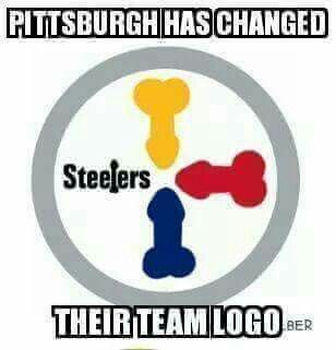 Steelers Meme, Pittsburgh Steelers Funny, Nfl Logos, Buckeye Baby, Nfl Funny, Nfl Saints, 32 Nfl Teams, Miami Dolphins Logo, Bengals Football