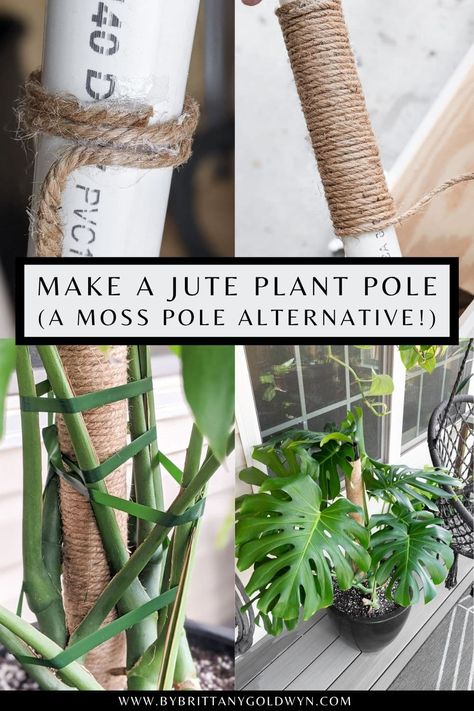 Want to make a DIY moss pole for plants but think they are messy and difficult? Check out my DIY moss pole alternative using jute instead! Diy Plant Pole Indoor, Diy Plant Pole, Diy Moss Pole, Plant Pole, Alternative Diy, Diy Cat Scratcher, Tall Potted Plants, Plant Training, Diy Moss