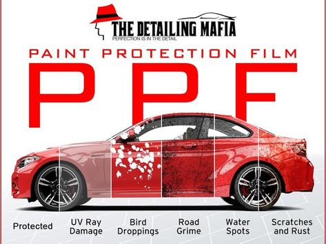 paint protection film, clear bra, ppf car, xpel ppf, ppf film, ppf coating,  3m paint protection film delhi, paint protection film cost for bike, ppf coating price delhi, 3m paint protection film india, 3m paint protection film roll pri3m ppf, protection film, ppf coating price, ppf coating in delhi,ce, 3m paint protection film cost for bike, paint protection film near me Car Ppf Poster, Paint Protection Film Cars, Car Detailing Poster, Ppf Car, Car Detail Shop, Garage Storage Plans, Blue Bmw, Car Spray Paint, Garage Design Interior