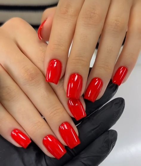 Red Nails For Light Skin, Squared Red Nails, Solid Color Acrylic Nails With Design, Bright Red Square Nails, Very Short Red Nails, Red Apple Nails, Red Squoval Acrylic Nails, Old Money Red Nails, Short Red Acrylics