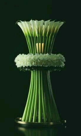 Modern Flower Arrangements, Have Inspiration, Calla Lilies, Deco Floral, Modern Flower, Floral Display, Arte Floral, Flower Centerpieces, Calla Lily