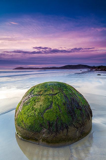 Prehistoric | Moeraki Boulders, New Zealand | The Moeraki Bo… | Flickr Moeraki Boulders, Beach New Zealand, New Zealand Travel Guide, Natural Objects, Oceania Travel, Exotic Beaches, New Zealand Travel, Beaches In The World, Beach Scenes