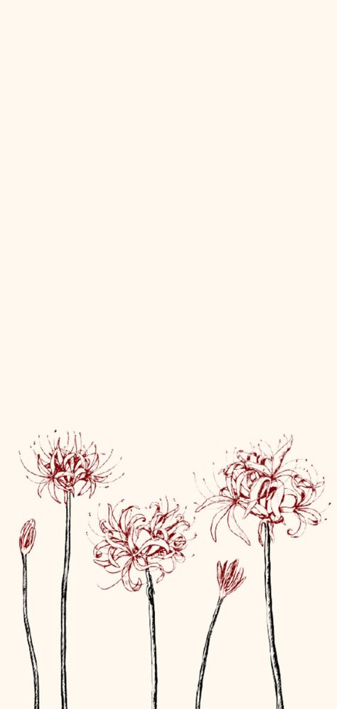 Lock Screen, Dandelion, Screen, Plants, Flowers