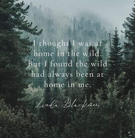 Wild Soul Quotes, Stunning Quote, Bird Quotes, Therapy Quotes, Ways To Be Happier, Soul Quotes, Cute Messages, Aesthetic Words, Old Quotes