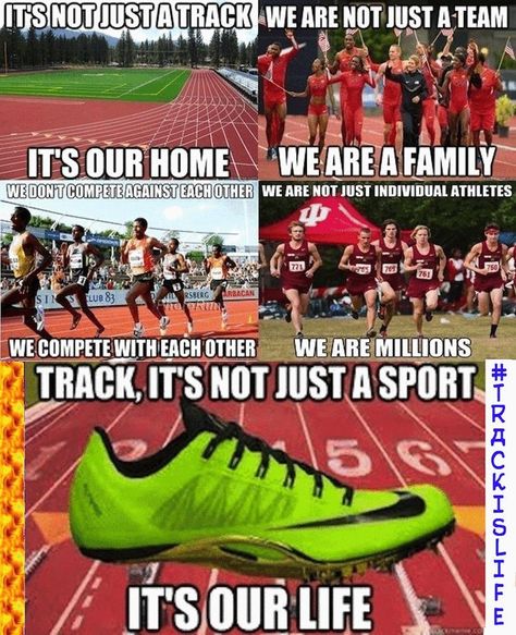 Oh boy.. Here we go again.. 2013-14 XC & Track.... How I love you so much Track Funny, Track Hurdles, Track Sayings Quotes, Athletics Quotes Track, Track Distance, Track And Field Quotes, Cross Country Quotes, Cross Country Spikes, Highschool Track And Field