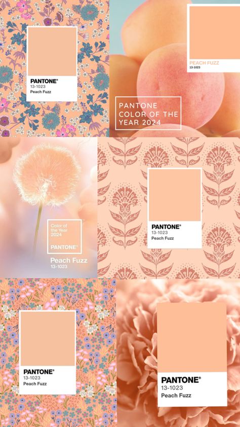 Pantone Color of the year Peach 🍑 Fuzz 2024z photos and pattern inspiration Color Of The Year 2024, Pantone Color Of The Year, Pattern Inspiration, Peach Fuzz, Year 2024, Color Of The Year, Pantone Color, Surface Pattern Design, Surface Pattern