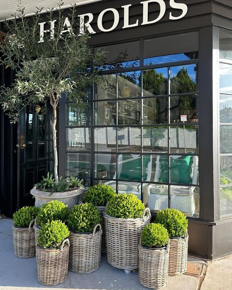 @harolds_finishing_touches • Instagram photos and videos Buxus Balls, T Signature, Point Loma, Lifestyle Store, S K, Garden Spaces, Maine House, Patio Deck, Outdoor Spaces