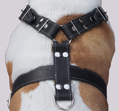 Dog Harness Leather, Best Dog Harness, Black Leather Harness, Leather Dog Harness, Dog Belt, Tactical Dog Harness, Reflective Dog Harness, Walking Harness, Dog Pool