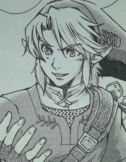 Manga created by Akira Himekawa Twilight Princess Manga, Twilight Princess Link, Akira Himekawa, Legend Of Zelda Twilight Princess, Zelda Twilight Princess, Twilight Princess, The Legend Of Zelda, Legend Of Zelda, Zelda