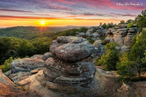 Garden of the Gods in Shawnee National Forest (Western Kentucky) Day Trips From Chicago, Shawnee National Forest, Illinois Travel, Best Campgrounds, Garden Of The Gods, Scenic Byway, Summer Road Trip, The Windy City, On The Road Again