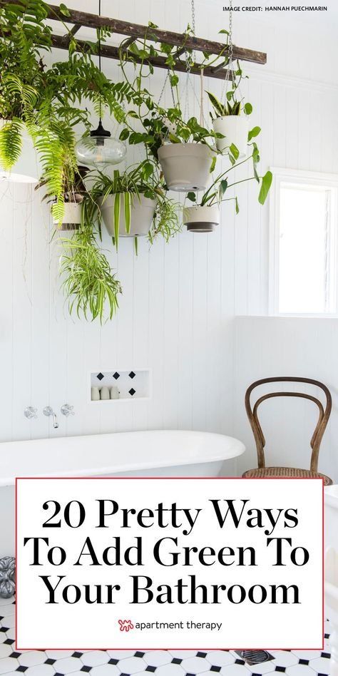 Here are 20 pretty ways to add green to your bathroom. #green #greenideas #greenbathroom #bathroomideas #bathroomcolors #bathroomdecor #bathroomdecorideas #greencolorpalette #greenpaintcolors Best Bathroom Plants, Houseplants Decor, Bathroom Green, Diy Hanging Planter, Hanging Plants Indoor, Eclectic Modern, Bathroom Plants, Bedroom Plants, Plant Decor Indoor