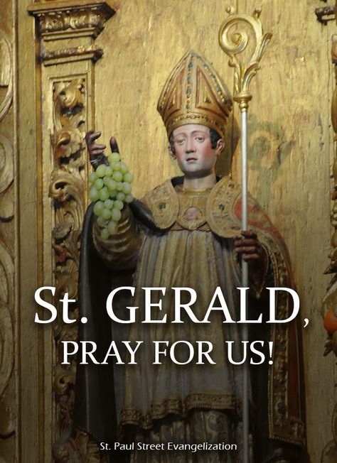 St Gerald Pray For Us, The Saints, Princess Zelda, The Day, Zelda Characters, Couture, Fictional Characters