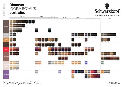 Professional Hair Color Chart, Schwarzkopf Hair Color Chart, Schwarzkopf Hair Colour, Red Color Chart, Igora Hair Color, Hair Chart, Schwarzkopf Hair Color, Schwarzkopf Color, Hd Background Download