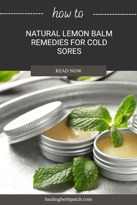 Discover how lemon balm can effectively relieve and heal cold sores with easy, natural remedies. This potent herb has been used for generations to soothe and comfort those dealing with outbreaks. From at-home treatments to tips on promoting healing, uncover all the ways lemon balm can be a delightful addition to your wellness routine. Whether you're curious about its anti-viral properties or looking for natural home remedies, this guide will empower you and ease your worries over cold sore frustrations! Herbs For Cold Sores, Lemon Balm Salve, Herbs To Heal, Lemon Balm Extract, Lemon Benefits, Healing Tips, Cold Sores, Cold Sore, Syrup Recipe