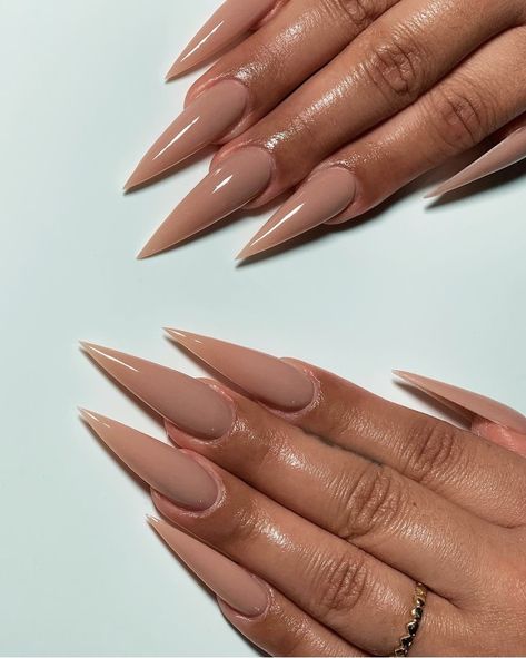 Nude Glam Nails, Belleza Aesthetic, Nude Stiletto Nails, Romantic Nail Art, Acrylic Nails Stiletto, Stilleto Nails Designs, Acrylic Nails Nude, Long Stiletto Nails, Small Nails