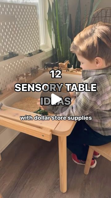 Elizabeth {BOOKS FOR KIDS + PLAY IDEAS} on Instagram: "Looking for inexpensive, simple and FUN sensory ideas? Keep reading!   Our sensory table is the Flisat table from @ikeausa. If you don’t have a sensory table, any of these ideas can be done using a plastic tub! Which sensory table idea do you think your kiddo would like to try first?!   JANUARY  🐧 Polar Animals  White beans, white rice, blue marbles, cotton balls, snowflake beads and arctic animals.   FEBRUARY  ♥️ Valentines Day  Cloud dough (flour & veggie oil), fake rose petals, silicone cupcake containers, heart cookie cutters and heart candies.   MARCH  🐦 Birds  Bird seed, nest pieces, fake eggs, sticks, rocks, pine cones, feathers, pom-poms and decorative birds.   APRIL  🐞 Bugs and Insects  Sand, rocks, black beans, moss, magni Make Your Own Sensory Bin, Pet Study Sensory Table, Flisat Sensory Table Ideas, Sensory Bin Ideas For Preschool, Sensory Tray Ideas, Flisat Table Activities, Kids Play Ideas, Sensory Table Ideas, Sensory Bins For Toddlers