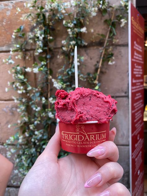 If you ever visit Rome , please just try gelato from Frigidarium Visit Rome, Gelato Shop, Dragon Fruit, Travel Bucket, Rome, Bucket List, Ice Cream, Fruit, Cream