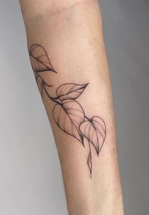 Plant Tattoo Ribs, Golden Pathos Tattoos, Small Pothos Tattoo, Pothos Tattoo Design, Plant Wrapped Around Arm Tattoo, Pothos Leaves Tattoo, Heart Leaf Philodendron Tattoo, Hosta Leaf Tattoo, Tattoo Designs Plants