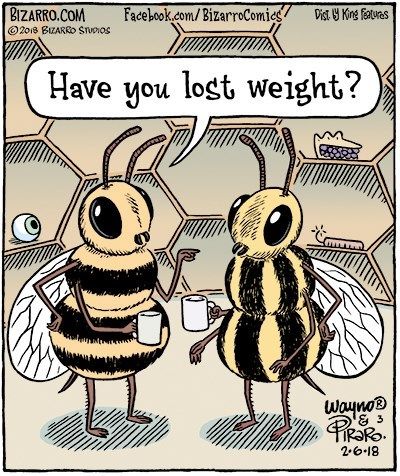 Hilarious Animal Comics That Show What Is Really Happening Out In The Wild - I Can Has Cheezburger? Bee Jokes, Bee Humor, Bee Fashion, Bee Quotes, Bee Artwork, Animal Comics, Funny Today, Bee Stuff, I Love Bees