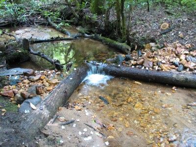 Make a dam. Find a small body of running water around your house and see if you can hold it back by making a small dam. Dragonfly Pond, Camping In The Rain, Farm Stuff, Outdoor Gym, Running Water, Stone Work, Outdoor Ideas, Water Supply, Outdoor Play