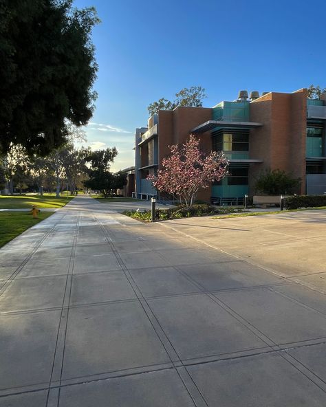 Uc Riverside Aesthetic, University Of California Riverside, Uc Riverside, Campus Aesthetic, Riverside California, College Friends, Massachusetts Institute Of Technology, University Campus, University Of California