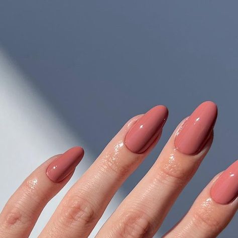 Dark Peach Nails, Plain Almond Nails, Peachy Pink Nails, Salmon Nails, Almond Salmon, Peach Nails, Formal Nails, One Color Nails, Almond Nail