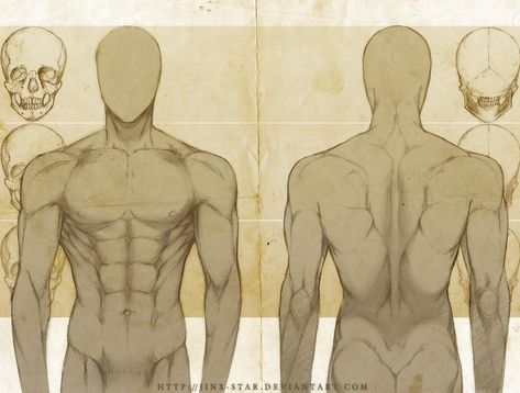 +MALE ANATOMY: FRONT + BACK STUDY+ by jinx-star on DeviantArt Male Torso Anatomy, Male Body Drawing, Back Drawing, Drawing Legs, Male Anatomy, Body Study, Human Body Art, Male Torso, Anatomy Sketches