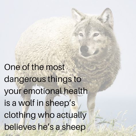 One of the most dangerous things to your emotional health is a wolf in sheep's clothing who actually believes he's a sheep. Snake In Sheeps Clothing Quote, A Wolf In Sheeps Clothing Quotes, Beware Of Wolf In Sheeps Clothing Quotes, Wolf In Sheep’s Clothing Quotes, A Wolf In Sheep's Clothing, Wolf In Sheep’s Clothing, Wolves In Sheeps Clothing Quotes, Wolf In Sheeps Clothing Quotes, Snake Clothing