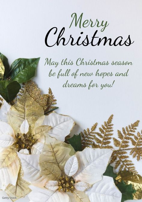 Mary Crismas Wishes, Happy Christmas Images Pictures Greeting Card, Merry Christmas Greetings Cards Design, Christmas Wishing Card, Happy Merry Christmas Pictures, Marry Crismas Image Wishes, Happy Merry Christmas Wishes, Merry Christmas Messages Quote, Seasons Greetings Design