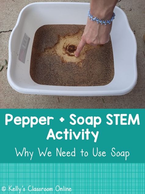 A plastic tub is filled with water and ground pepper. Someone is sticking their finger into the water and swirling it around. #kellysclassroomonline Enrichment Class Ideas, Soap Experiment, Plant Life Cycles, Investigatory Project, Scientific Process, School Science Projects, Stem Experiments, Animal Life Cycles, Facts About Animals