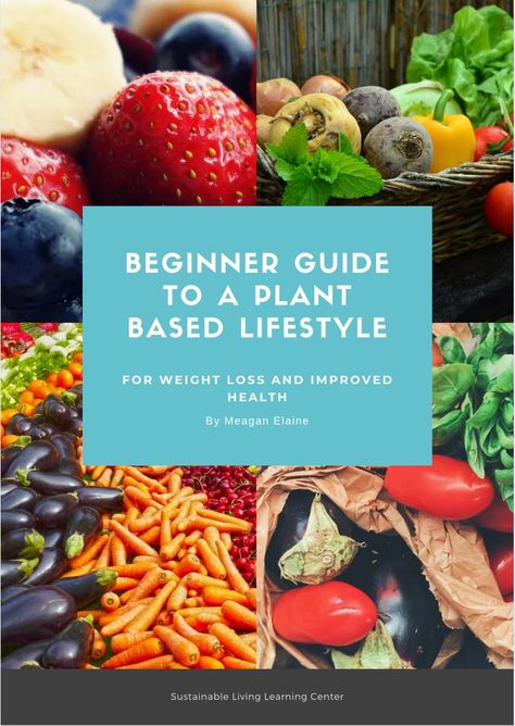 Beginners Guide To a Plant-Based Lifestyle w/t Free pantry check list #vegan #plantbased #wholefooddiet #vegetarian Plant Based Meal Plan For Beginners, Plant Based Meal Plan, Plant Based Meal, Free Pantry, Plant Proteins, Meal Plan For Beginners, Plant Based Meal Planning, Meal Options, Plant Based Cookbook