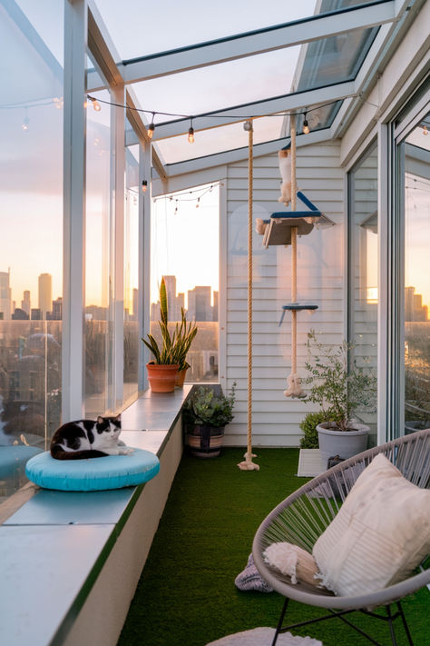 modern balcony catio with plexiglass panels and city view Cat Proof Patio, Catios Ideas For Cats Balcony, Catio Ideas Cat Balcony, Cat Balcony Ideas, Cat Safe Balcony, Cat Friendly Balcony, Catio Cats, Cat Proof Balcony, Cat Balcony