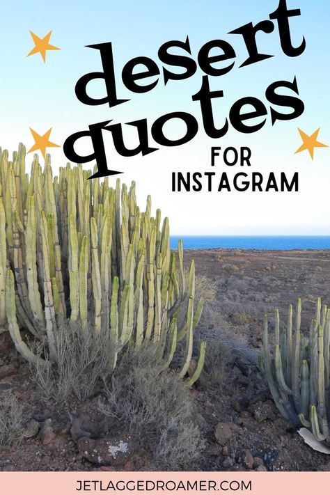 TEXT SAYS DESERT QUOTES FOR INSTAGRAM. DESERT. Desert Love Quotes, Quotes About The Desert, Desert Sayings, Desert Quotes Instagram, Desert Captions For Instagram, Desert Quotes, Arizona Quotes, Desert Words, Desert Quote